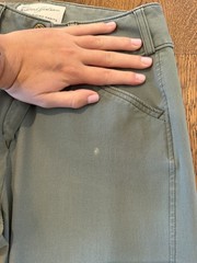 Tailored Sportsman breeches 24 LONG front zip (mid rise) in Loden Green