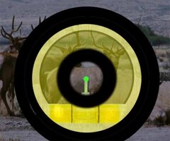 Low Light Peep Sights, Any Two (2) 100% Made in the USA REDHAWK