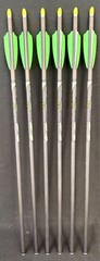 TenPoint Pro Elite 400 Crossbow Arrows Alpha Nock – 6 Crossbow Arrows – NEW