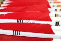 TTFLY FLETCHING 12PCS Red Turkey Feather 31 inches Carbon Arrows Replacement Tip