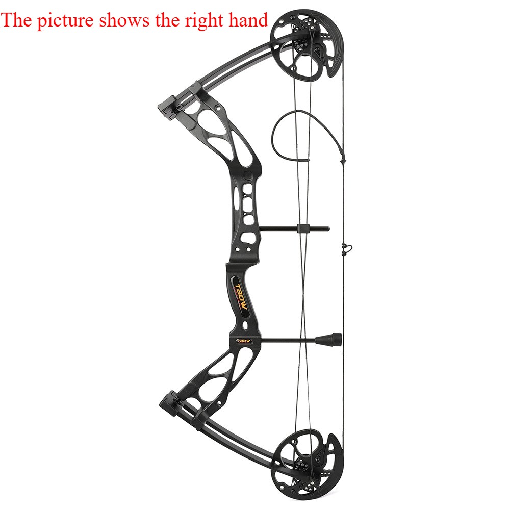Compound Bow Arrow Kit 0-70lbs Archery Bow Hunting Target Shooting Target RH LH