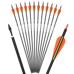 26/28″ 6/12Pcs Carbon Arrow Hunting Arrows with 100 Grain Tip and Removable Tips