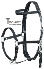 Horse Endurance Bridle Halter Breast plate set – Water Resistant & Durable