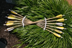 Premium Wood Arrows, Spined and Weight Matched. Dozen Packs