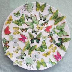 40pcs Clear Transparent Butterfly Sticker Pack For Scrapbooking , Glass Bottle