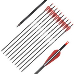 26 inch Carbon Arrow Hunting Arrows with 100 Grain Removable Tips for Archery…