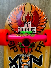 Jay Adams /dogtown 100% percent skateboarder very rare Jay AdamsPersonSkateboard