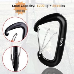 Carabiner Clips, 12 kN Aluminium D Ring Heavy Duty Lightweight Caribeaners-4 PCS