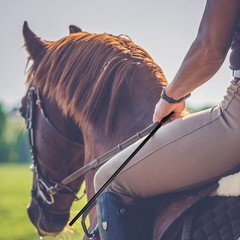 Versatile Black Horse Riding Crop Set – 18 Inches of Exquisite Craftsmanship