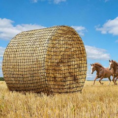 Bold 6 * 6ft Round Bale Hay Net for Horses&Livestock, Large Heavy Duty Round …