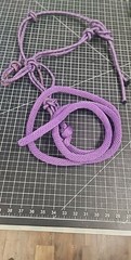 Nylon/ Cotton 4 point Headstall halter lead rope PURPLE 6ft rope