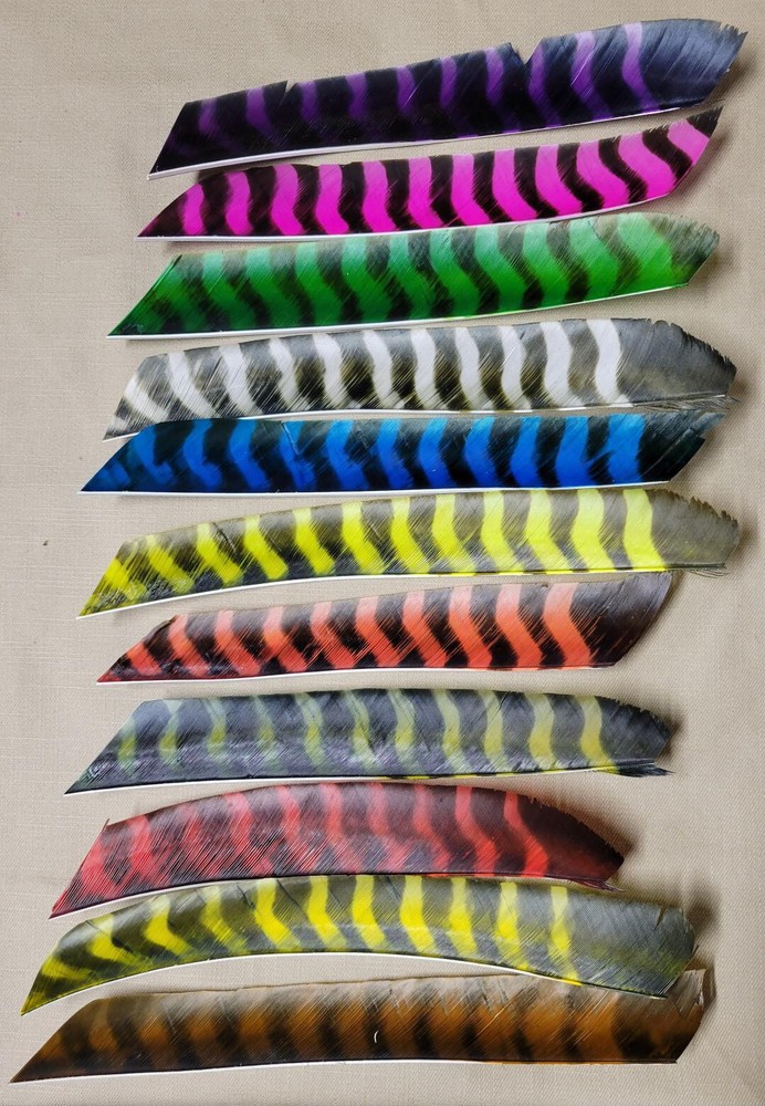 Trueflight Feathers – Full Length Barred – Dozen count