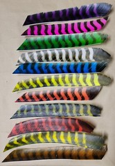Trueflight Feathers – Full Length Barred – Dozen count