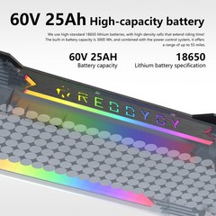 Reddydy 2500W*2 Motors 60V 25Ah Electric Scooter Foldable 10.5″ E-Scooter Adults