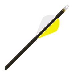 Gold Tip Hunter Pro 400 Carbon Hunting Arrows with Accu-Lite Nocks (Pack of 12)