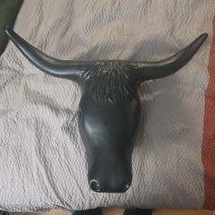 Corriente Steer Bull Head Molded Plastic Roping Indoors Outdoors