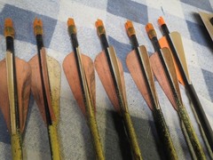 Mixed Lot of 12 Used Carbon Arrows 25.25 to 28.25 Inches Youth up to 40 lbs