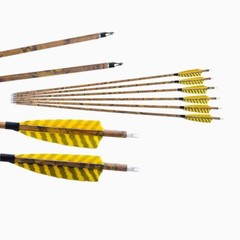 30″ Carbon Arrows Camo SP500 Turkey Feather Removable Tips Compound Bow Target