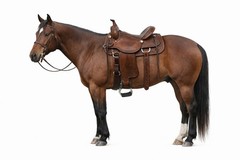 Challenger 5 3/8″ Wide Western Saddle Aluminium Bell Roper Stirrups 51133BR