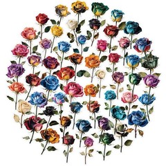 28Pcs Random Vintage Rose Dried Flowers Transparent PET Waterproof Stickers