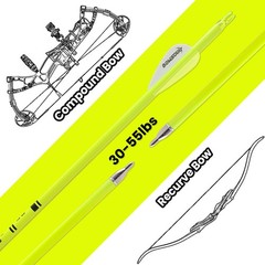 Carbon Arrow Archery 30inch Bright Colors Hunting Target Practice Arrows for …