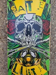 VTG Satellite Skateboard Cruiser Skulls Roses Green 31 Inches USA