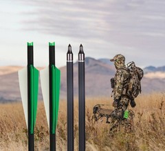 12x Crossbow Bolts Carbon Shafts ID 7.6mm /Lighted nocks Set for Archery Hunting