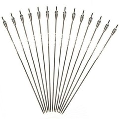 12pcs 30inch Fiberglass Arrows Hunting Archery Target Arrows Recurve Bow Longbow
