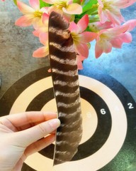 Archery Full Length 7-9in Feather Fletches Turkey Fletching Bamboo Wooden Arrows