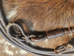 Romel Reins – Silver Ferrule Show Ring – Dark Oil – Hand Braided