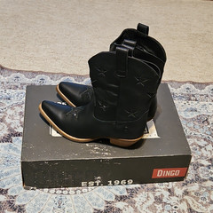 Dingo DI 582 Star Struck Women’s Western Boots Black Size 9