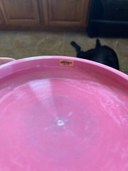 NEW Discraft McBETH Anax Distance Driver Disc Pink with Silver Foil