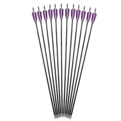 12Pcs Archery Carbon Arrows 30 in Spine 500 with 4 Inch Shield Turkey Feathers
