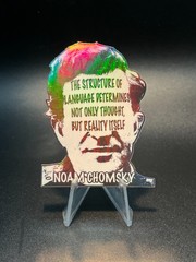 Noam Chomsky Quote Stickers