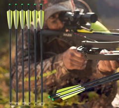 20″ Crossbow Bolts Crossbow Arrow OD 8.8 Half Moon Nock for Crossbow under 250lb