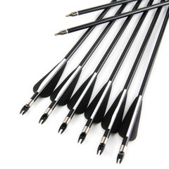 12PCS 30inch Fiberglass Arrows Spine 500 For Compound & Recurve Bows Hunting