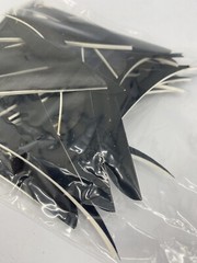50 PACK TrueFlight 5″ Inch Archery Feathers Right Wing Parabolic Cut Black NEW