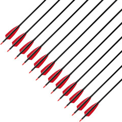 30″ Carbon Arrows Hunting Arrows with 4″ Shield Shaped Turkey Feathers Spine 400