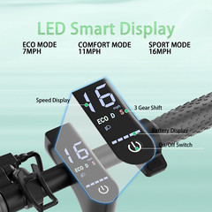 Ladped LP60 Electric Scooter 350W 8.5′ Foldable Scooter for Adults 19mph