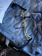 Bear Archery Vast Right Hand Compound Bow – God’s Country Color (AV04A2X0A7R)