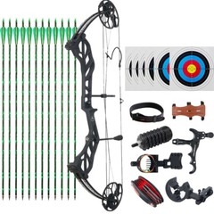 Archery 20-70LBS Compound Bow Kit 320fps Sports Hunting Targeting Carbon Arrows