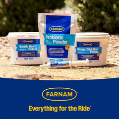 Hindgut Stabilizer Pellets, Daily Digestive & Immune Supplement for Horses Helps