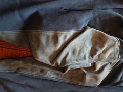 Breeches Full Seat Schumacher Ladies Sz 44 Horse Made in W Germany Med Blue WL
