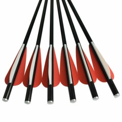 12X Fiberglass Crossbow Bolts Hunting Arrows For Shooting Practice Flat Nocks US