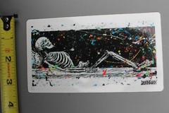Deathwish Skateboards Skeleton Coffin Gothic Punk Z77 OG Skateboarding STICKER