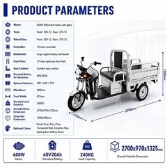 Electric Tricycle Cargo Truck 600W Free Shipping Electric Cargo Trike Orchard