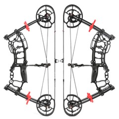 Archery Compound Bow Short Axis 40-65lbs Steel Ball BowFishing Bow Shoot Hunting
