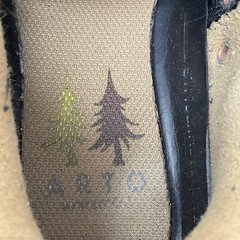 Etnies Arto Saari E-collection pine Trees Shoe size US 6 RARE skate thrasher