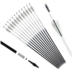 Compound & Recurve Bow Arrows, 12-Pk