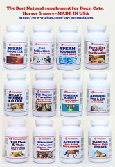 EQUINE SPERM BOOSTER – FERTILITY (120 Capsules – Made in USA)